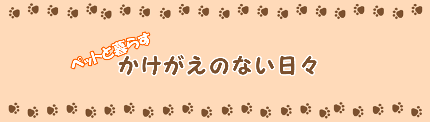 かけがえのない日々